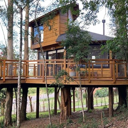 Casa Na Arvore Morada Dos Vagalumes Farroupilha Extérieur photo